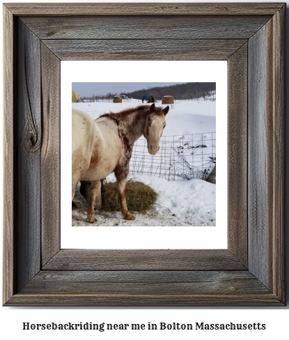 horseback riding near me in Bolton, Massachusetts